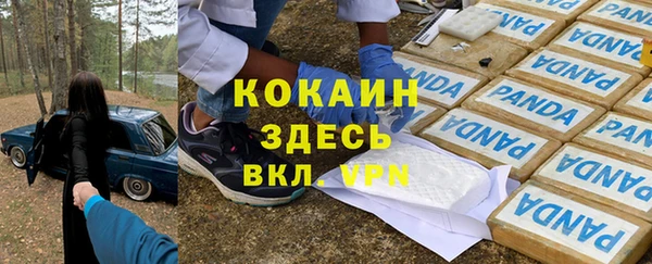 амф Инсар