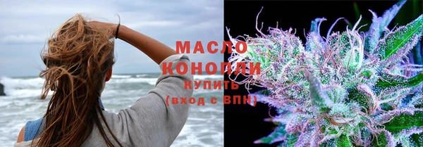 шишки Аркадак