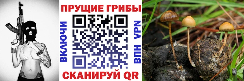 Галлюциногенные грибы Magic Shrooms Иннополис